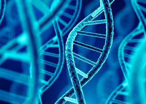 Liberum appointed Joint Corporate Broker to Malin Corporation Plc