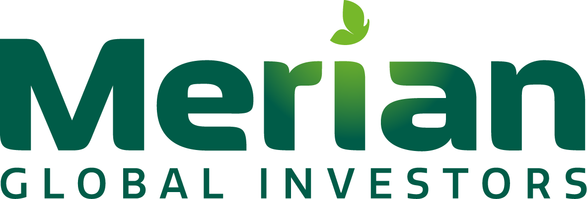 Merian Chrysalis Investment Company Limited