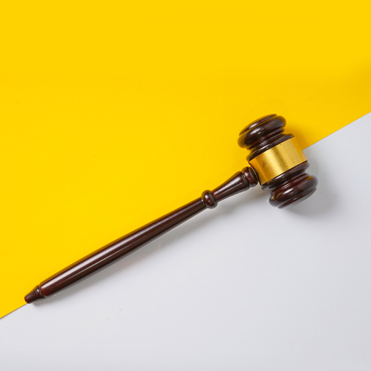 Liberum Experts: Litigation Finance CEO videos