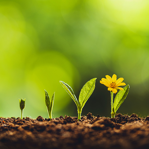 H2 Highlights: Continuing support for our clients