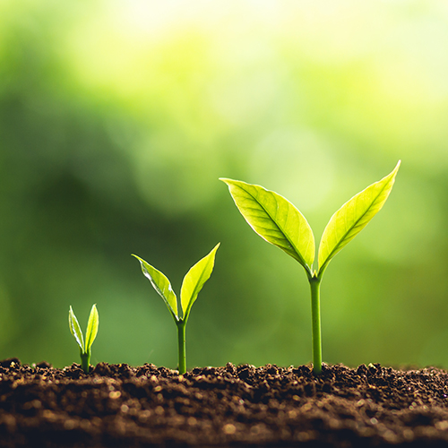 Supporting Our Clients