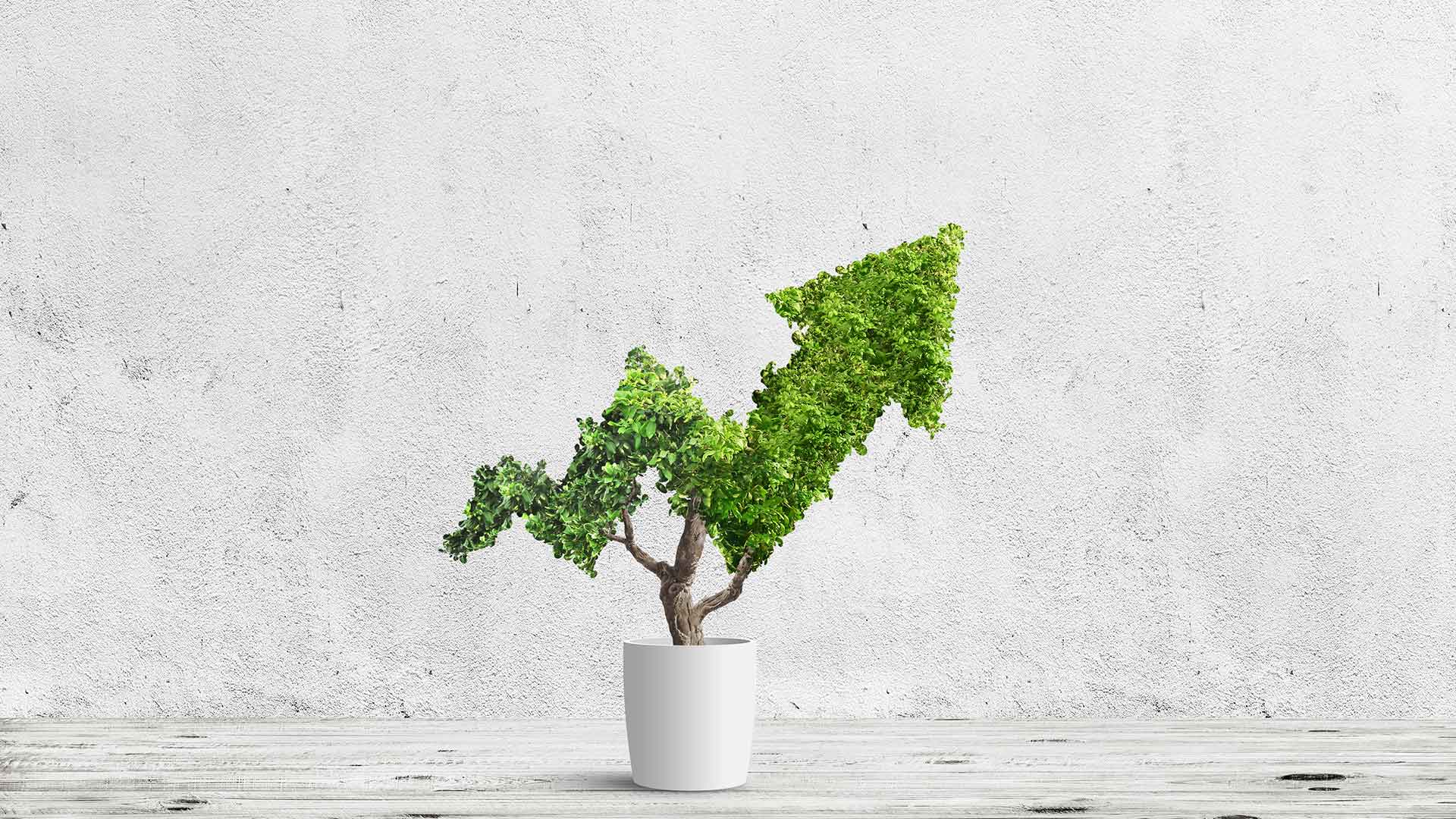 Thought of the Week - Standard or ESG benchmark?