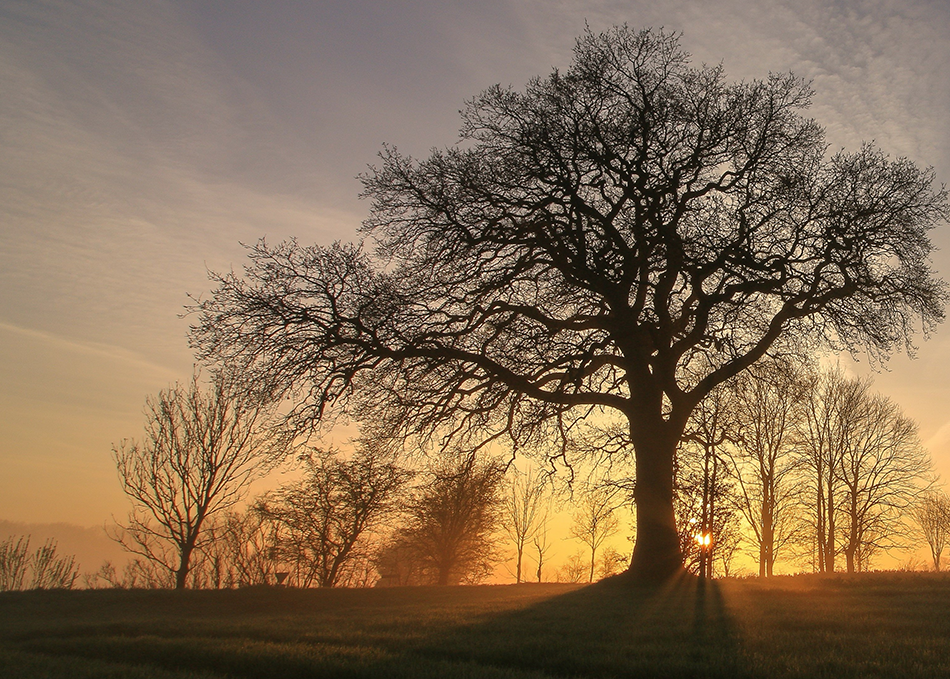 Liberum appointed as Joint Broker to Dignity PLC