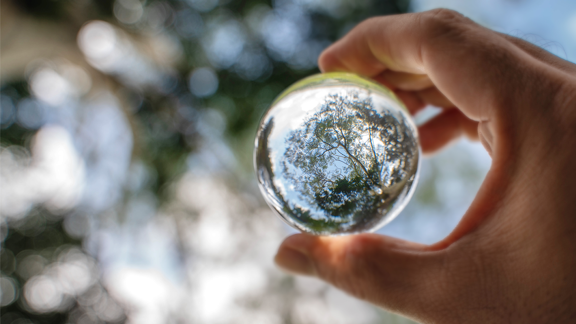 Thought of the Week - The value of transparency for smaller firms