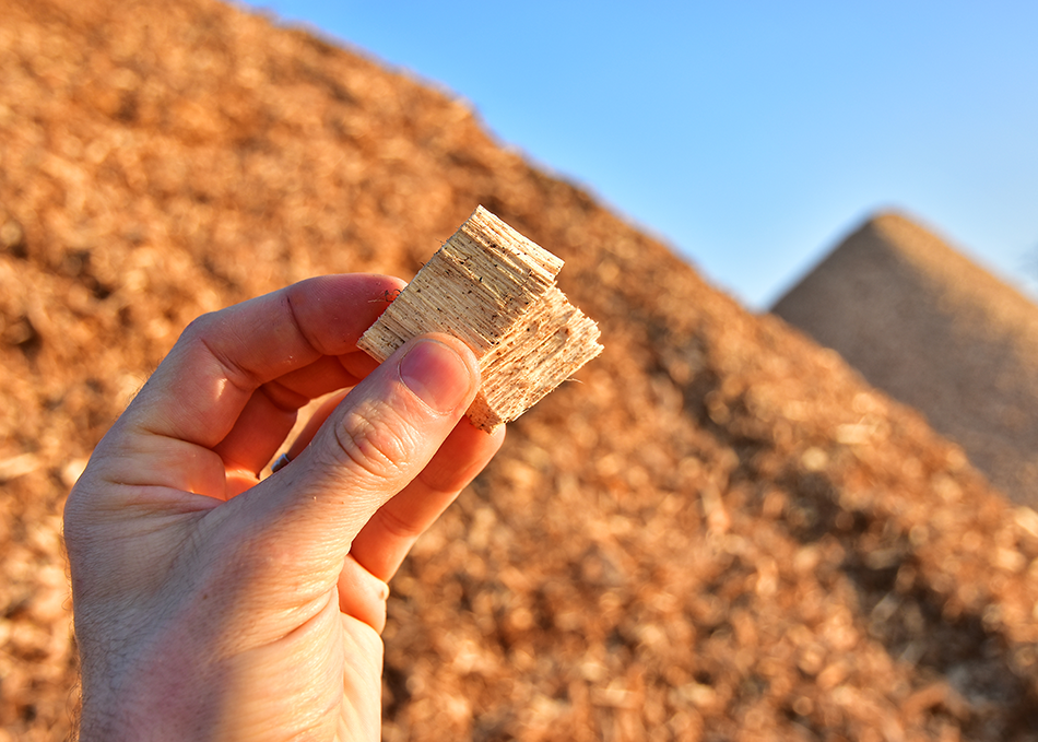 Liberum appointed as Joint Corporate Broker to Esken Limited