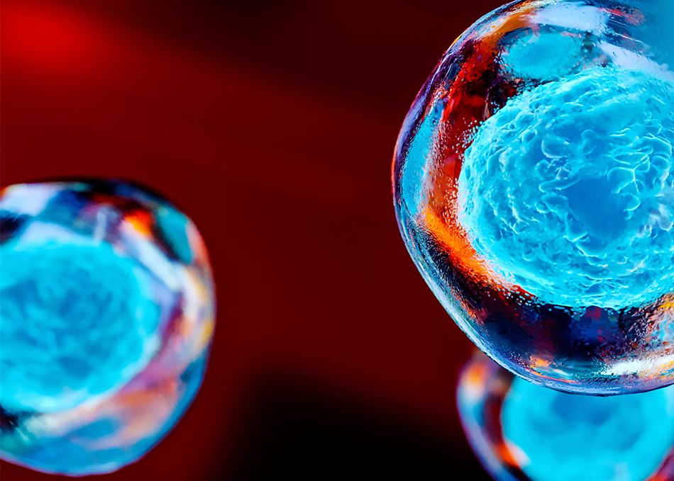 Liberum appointed as Nomad and Joint Broker to ReNeuron Group plc