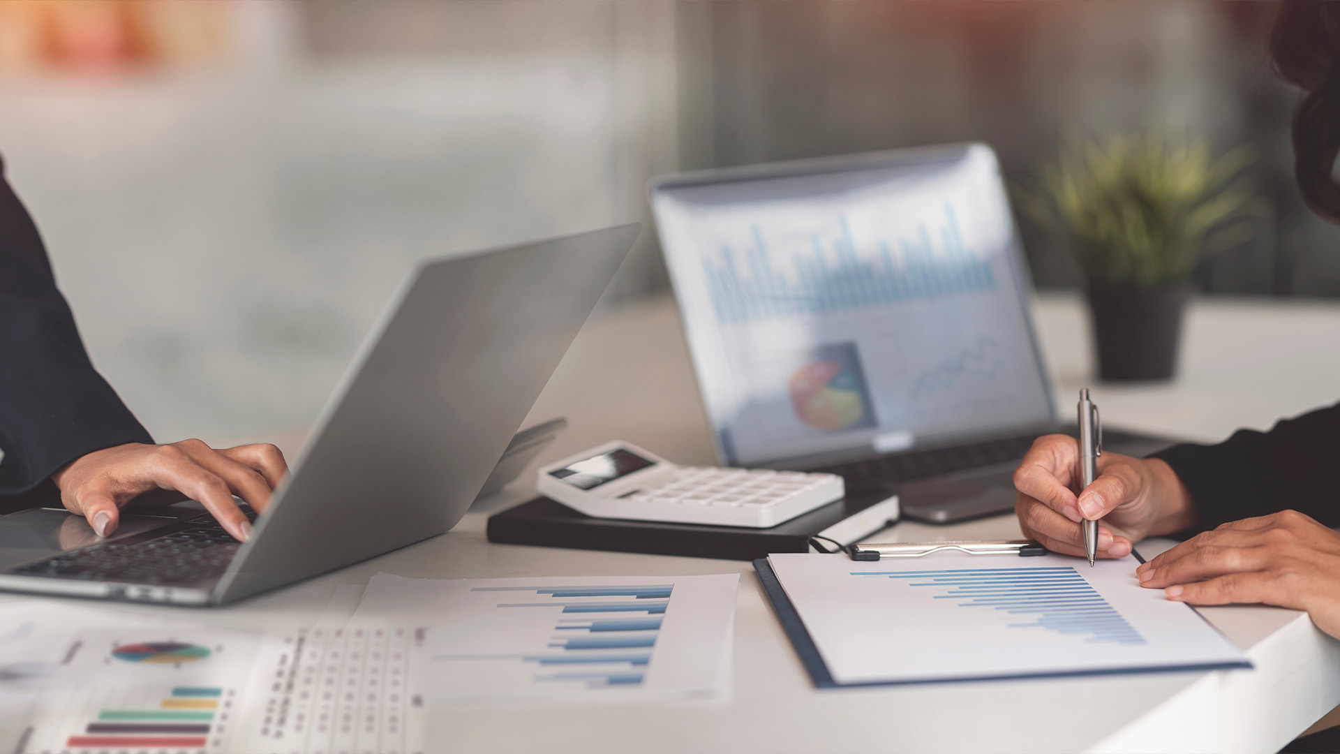 T-REX - Wholesale Markets Review