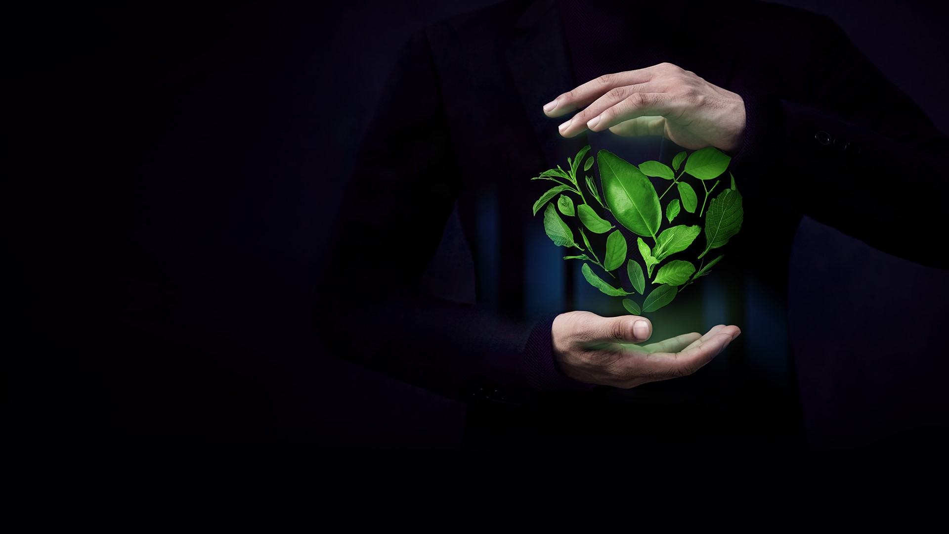 Man holding a plant in his hands against dark background.