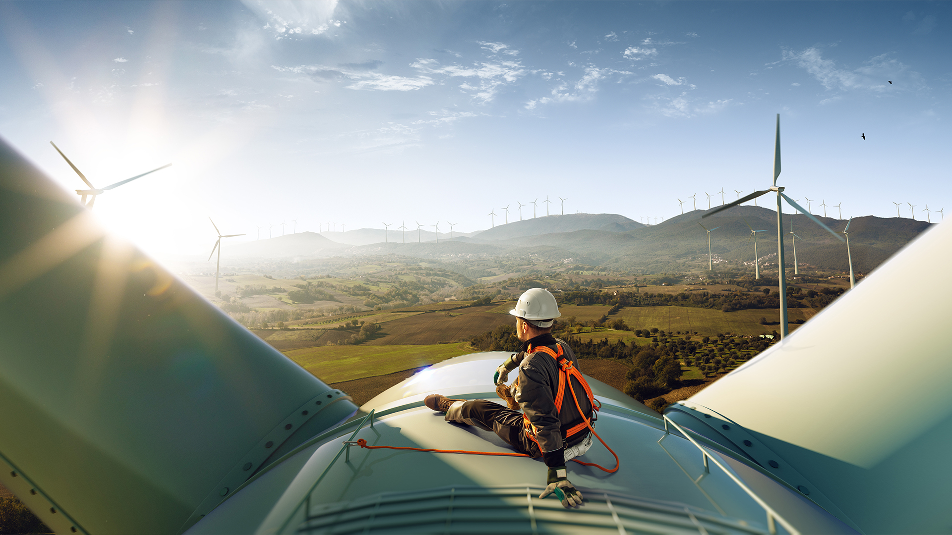 Thought of the Week - Green jobs vs. fossil fuel jobs