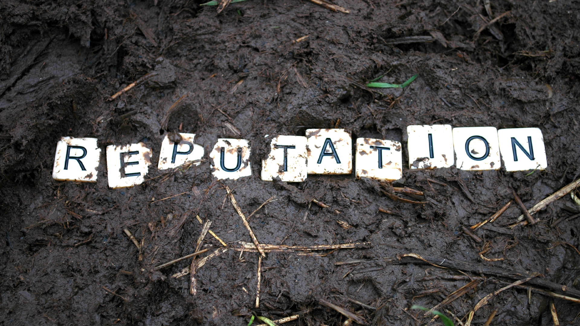 Thought of the Week - The impact of ESG scandals