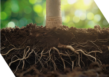 Panmure Liberum acts as Financial Adviser and Joint Bookrunner on Marwyn Acquisition Company II’s £41.5 million acquisition of InvestAcc and £30.0m equity fundraising