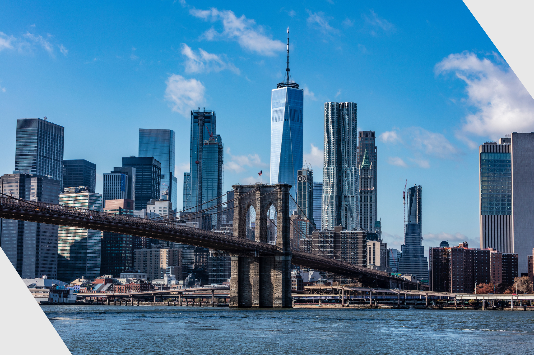 Panmure Liberum expands its US team with three senior hires