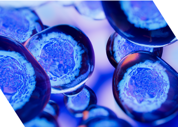 Panmure Liberum acts as Nominated Adviser, Joint Bookrunner and Joint Broker on Arecor Therapeutics’ £6.4 million fundraise