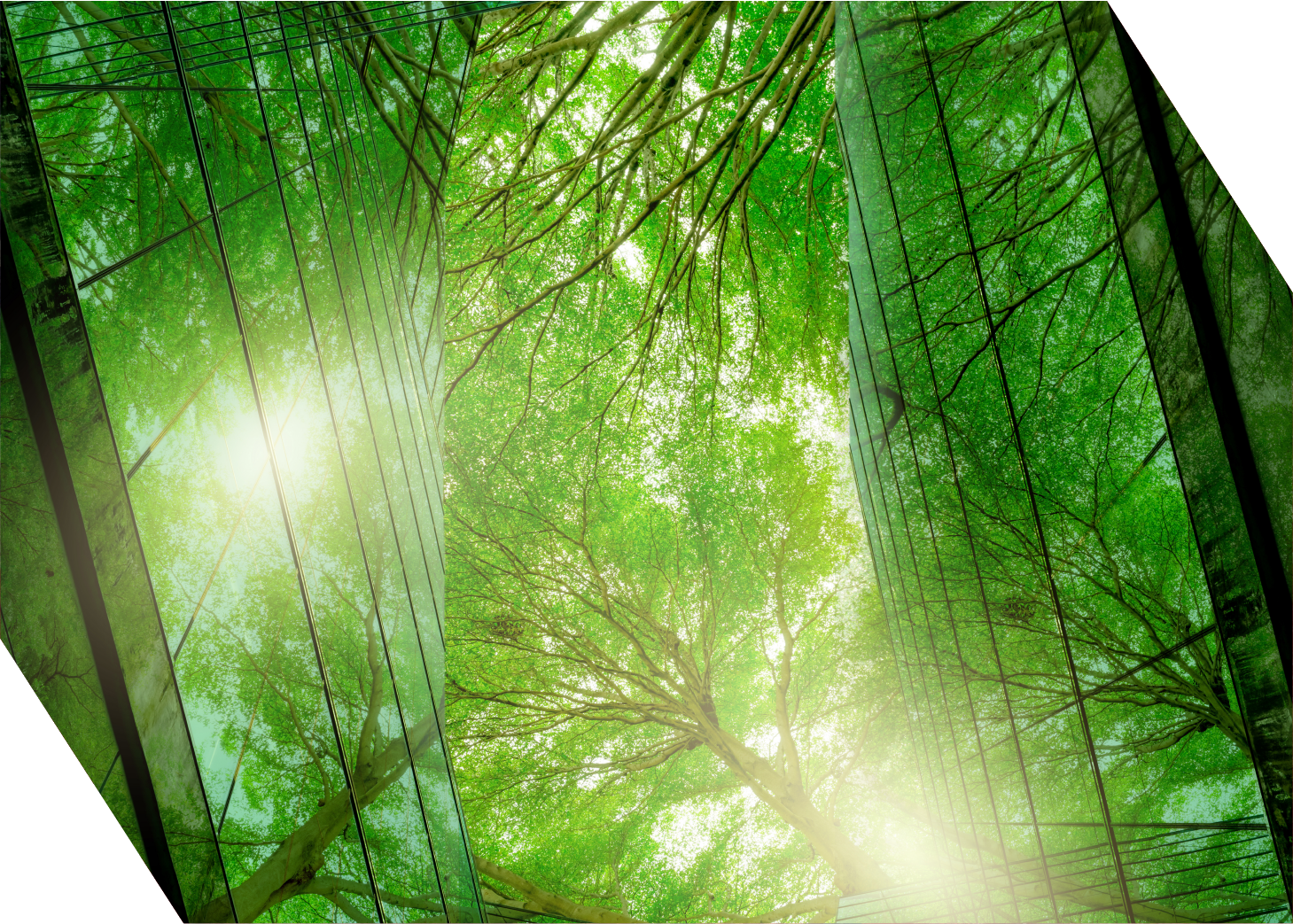 Thought of the Week - ESG engagement actively reduces downside risks