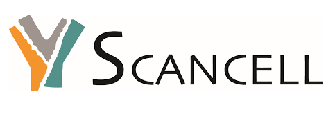 Scancell Holdings